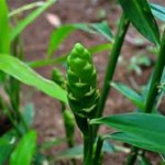 %d0%b4%d0%b6%d0%b8%d0%bd%d0%b4%d0%b6%d0%b8%d1%84%d0%b8%d0%bb