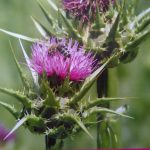 thumb4_s_img_2016102_i8hsv-scaled